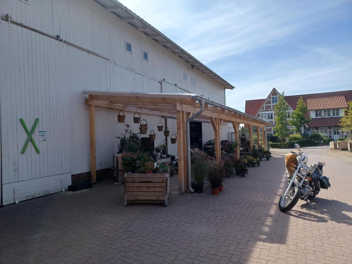 Ferienwohnung Am Elbstrom Stade Exterior photo